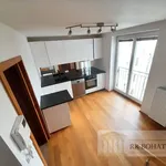 Rent 4 bedroom apartment of 108 m² in Prague