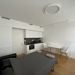 Studio of 27 m² in Prague