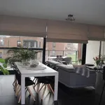 Huur 3 slaapkamer appartement in Hasselt