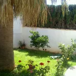 Rent 1 bedroom house of 40 m² in Alicante']