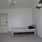 Rent 1 bedroom apartment in Olomouc