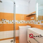 Rent 1 bedroom apartment of 42 m² in Prague