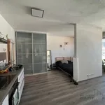 Rent 1 bedroom apartment of 409 m² in Brno