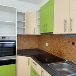 Rent 2 bedroom apartment of 1 m² in Liberec