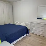 Rent 1 bedroom apartment in Siena