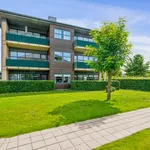 Rent 3 bedroom apartment of 103 m² in Humlebæk