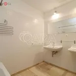 Pronajměte si 3 ložnic/e byt o rozloze 115 m² v Praha