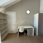 Rent 1 bedroom apartment of 20 m² in Torino