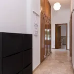 Rent 4 bedroom apartment in Milan