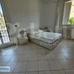 Rent 3 bedroom apartment of 80 m² in Bologna