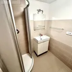 Rent 1 bedroom apartment of 25 m² in Prague