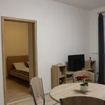 Rent 1 bedroom apartment of 43 m² in Brno