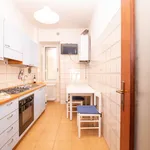 Rent 4 bedroom apartment of 100 m² in Campobasso