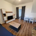 Rent 4 bedroom apartment of 110 m² in Darmstadt