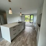 Rent 3 bedroom house in Tauranga