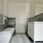 Rent 2 bedroom apartment of 60 m² in Padova