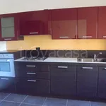 Rent 2 bedroom apartment of 50 m² in Novara