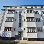 Rent 3 bedroom apartment of 59 m² in Chemnitz