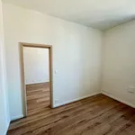 Pronajměte si 2 ložnic/e byt o rozloze 45 m² v Pilsen