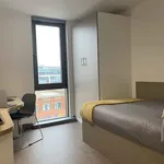 Rent 1 bedroom apartment in Belfast