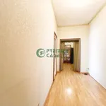 Rent 1 bedroom apartment of 25 m² in Turin