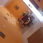 Rent 3 bedroom apartment of 90 m² in Sabaudia