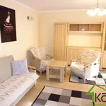 Rent 2 bedroom apartment of 44 m² in Olsztyn