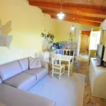 Rent 3 bedroom apartment of 85 m² in Pietrasanta