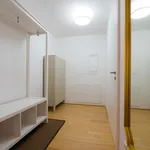 Miete 1 Schlafzimmer wohnung von 500 m² in Vienna