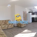 Rent 4 bedroom apartment of 95 m² in Šestajovice Na Viničkách