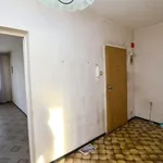 Rent 2 bedroom apartment of 49 m² in Piekary Śląskie