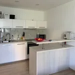 Rent 1 bedroom house in Hodonín