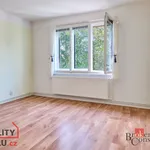 Rent 3 bedroom apartment in Pardubice