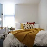 Rent 1 bedroom apartment in Lincoln