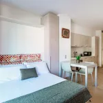 Rent 1 bedroom apartment of 41 m² in Paradiso