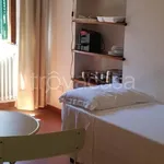 Rent 1 bedroom apartment of 28 m² in Pontedera