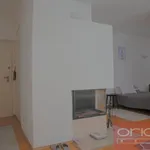 Rent 1 bedroom apartment in Capital City of Prague