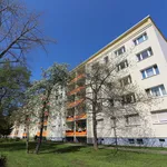 Miete 2 Schlafzimmer wohnung von 51 m² in Halle (Saale)