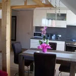 Rent 1 bedroom apartment of 45 m² in Sindelfingen