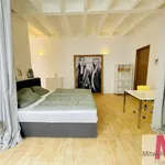 Rent 2 bedroom apartment of 100 m² in Nuremberg