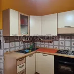 Rent 3 bedroom apartment of 60 m² in Biella