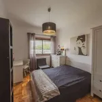 Rent 1 bedroom apartment in porto