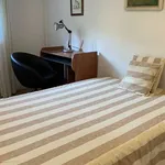 Rent a room in madrid