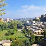 Rent 3 bedroom apartment of 60 m² in Frosinone