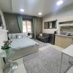 Rent 1 bedroom apartment of 21 m² in Prague