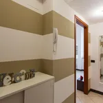 Rent 1 bedroom apartment in Milan