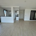 Rent 4 bedroom apartment of 91 m² in LYON 07