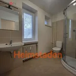 Rent 1 bedroom apartment of 29 m² in Havířov