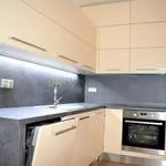 Rent 1 bedroom apartment of 48 m² in Brno