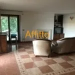 Rent 3 bedroom apartment of 120 m² in  L' Aquila                        